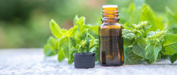 istock Peppermint essential oil in a small bottle. Selective focus. 1307581854