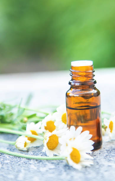 istock Chamomile essential oil in a small bottle. Selective focus. 1307581864