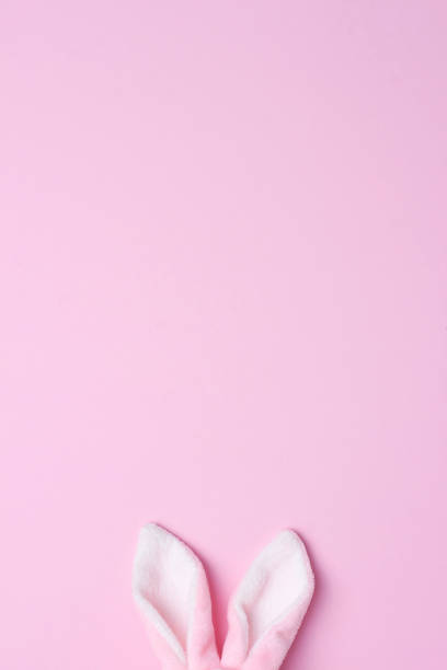 istock Bunny ears on pink background. Flat lay, copy space 1307585788