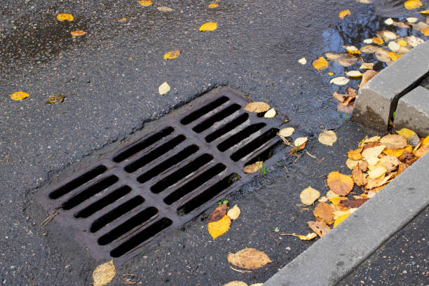 istock Yellow autumn leaves on sewer grate on road 1307588808