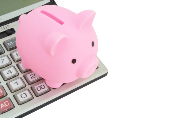 istock Piggy bank and calculator isolated on white 1307588906