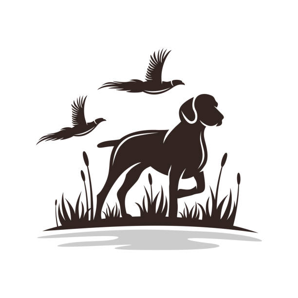 ilustrações, clipart, desenhos animados e ícones de logotipo moderno do cão de caça - faisão ave de caça