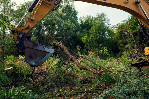Yellow chain excavators clearing vegetation Yellow chain excavators clearing vegetation during the construction of South stream pipeline in Bulgaria Deforestation process is very dangerous for our planet future deforestation stock pictures, royalty-free photos & images