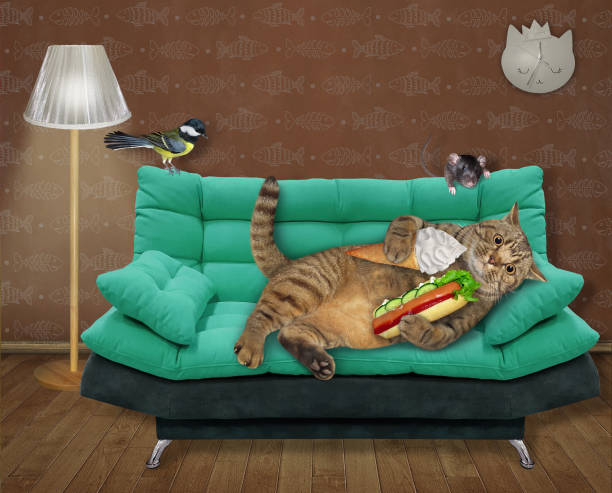 istock Cat on green divan eating hot dog 1307591586