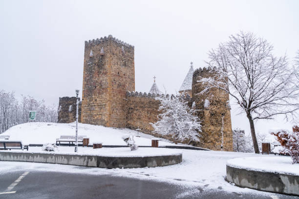 istock Ananuri is a castle complex on the Aragvi River in winter 1307592642