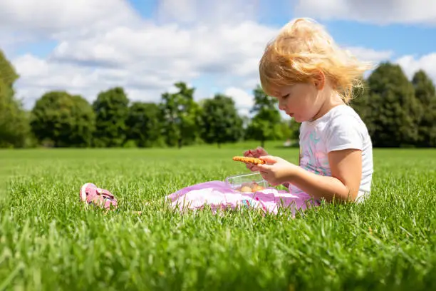 Photo of Little girl sitting on the grass in the meadow and having snack on summer day.