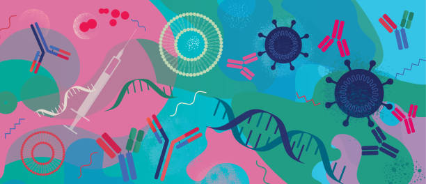 ilustraciones, imágenes clip art, dibujos animados e iconos de stock de desarrollo del concepto de vacunas contra el arnm - dna genetic research biology molecular structure