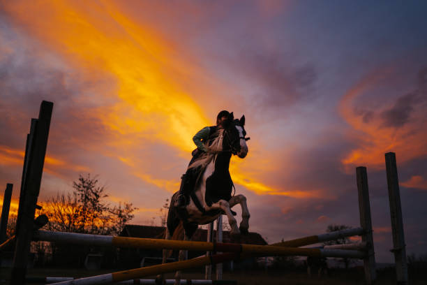 istock Horse with young female rider jumping over obstacle 1307594241