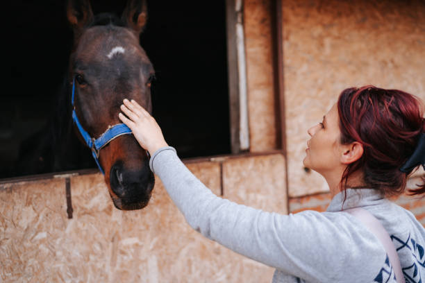 istock Healing love between woman and her horse 1307595603