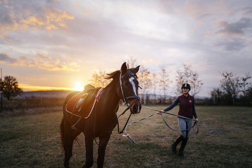 Young female jockey walking her racing horse on pasture with wonderful sunset in background