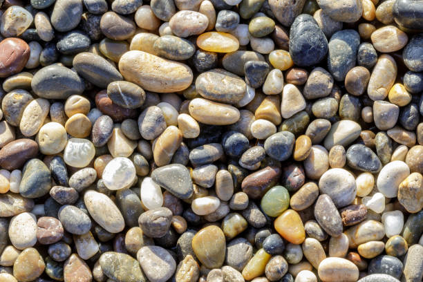 Colorful Rock Pebbles Pebble Beach, Bean Hollow State Beach, California, USA. bean hollow beach stock pictures, royalty-free photos & images