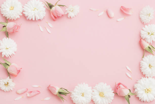 istock pink and white flowers on pink paper background 1307598453