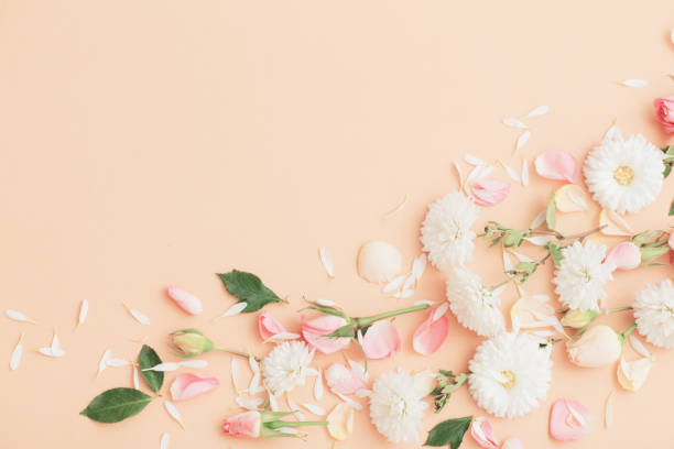 istock pink and white flowers on paper  background 1307598467