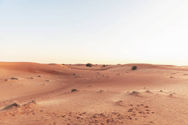 istock Dunes of Arabia 1307598605