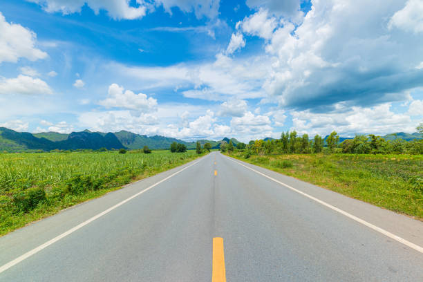 carretera de asfalto rural entre los campos en temporada de verano - thailand forest outdoors winding road fotografías e imágenes de stock