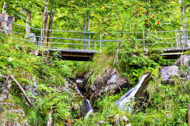Fahler waterfall in the Black Forest Mountains. Baden-Wurttemberg, Germany