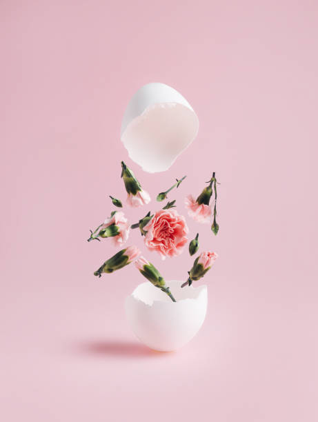 istock Spring pink flowers explosion popping out of cracked white eggshell against pastel pink background 1307607113