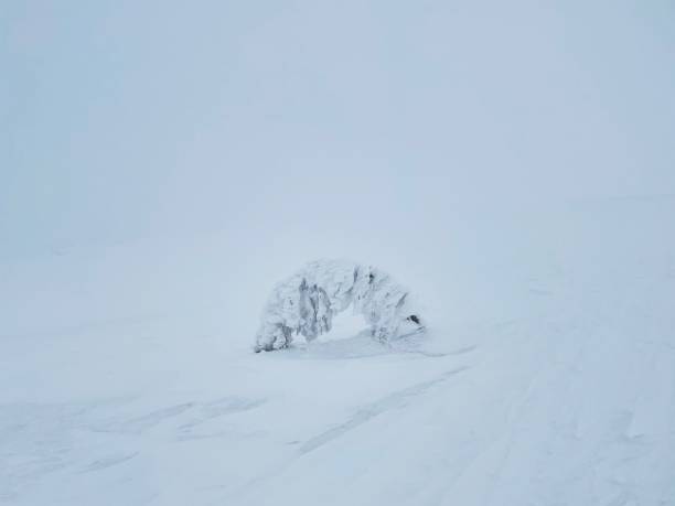 istock winter view of the Carpathian mountains 1307608595