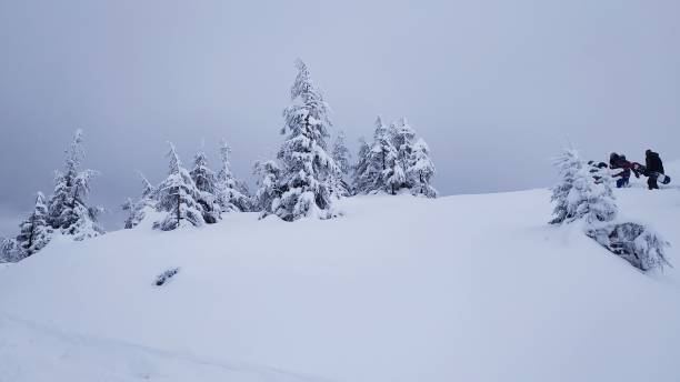 istock winter view of the Carpathian mountains 1307608606