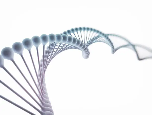 Photo of DNA on white background. 3D render.