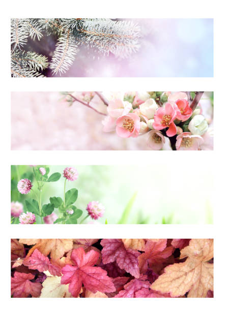 istock Four seasons of year 1307612532