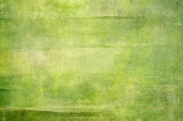 green abstract painting background - oil painting brush stroke abstract green imagens e fotografias de stock