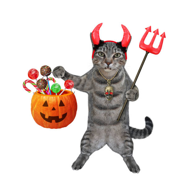 istock Cat gray in red horns holds pumpkin 2 1307617817