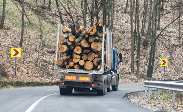 istock Industrial truck transporting wood. 1307618905