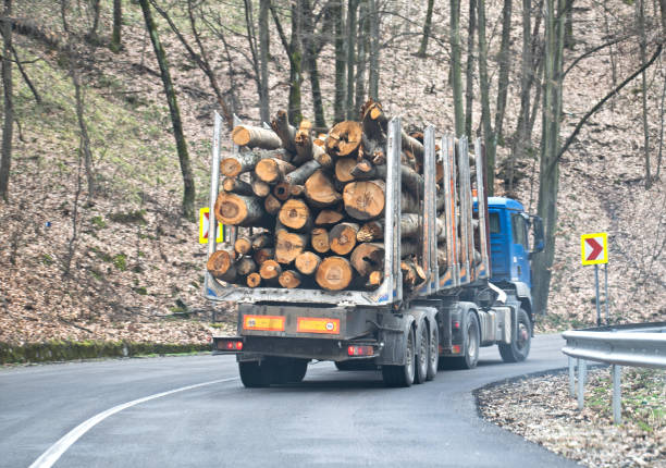 istock Industrial truck transporting wood. 1307618950