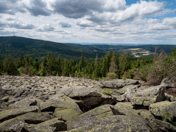 istock Natural Block Field Haberstein in Germany 1307622066