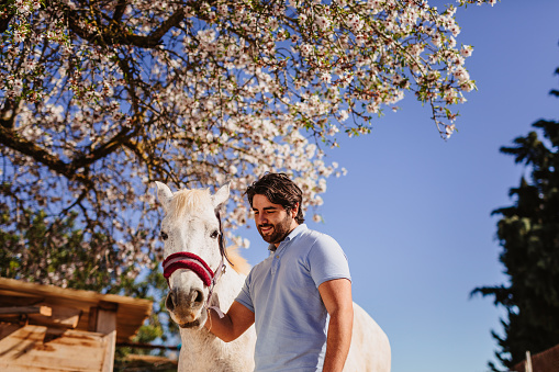 Smiling young latino men  with his white mare under a flowering almond tree. Real life situation. Slightly grain added. Part of a series.