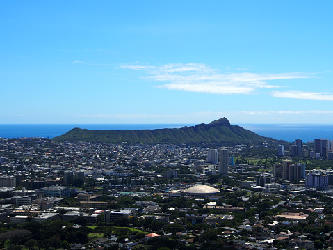 The city of Honolulu from Diamond head to Manoa with Kaimuki, Kahala, and oceanscape visible on Oahu on a nice day from high in the mountains with tall trees in the foreground.  Seen from Round Top Drive Lookout.