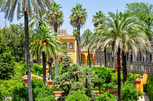 Seville, Spain - June 2019: Seville Alcazar gardens in Andalusia