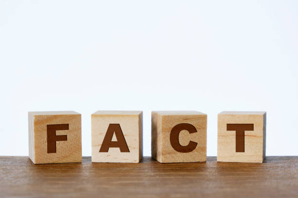 istock Fact written on wooden blocks, white background 1307625799