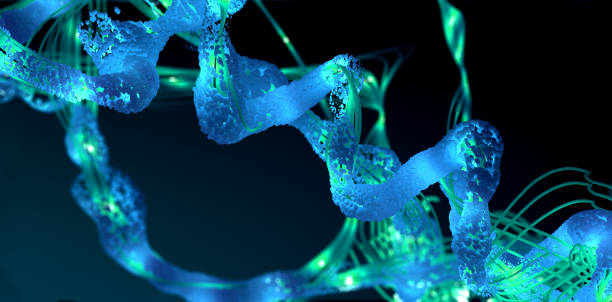 istock Chain of amino acid or bio molecules called protein - 3d illustration 1307626277