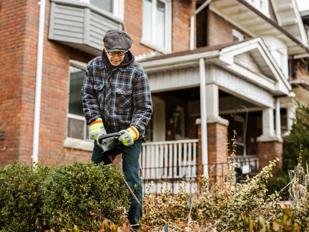 istock Senior man in the spring garden 1307627566