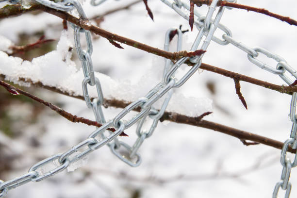 istock Metal chain hanging on a bush branch in winter 1307631922
