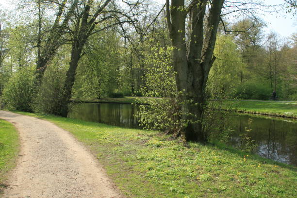 istock Idyll in a landscape park in Bremen 1307632084