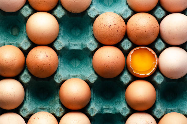 istock Raw chicken eggs in a turquoise egg carton. 1307633889