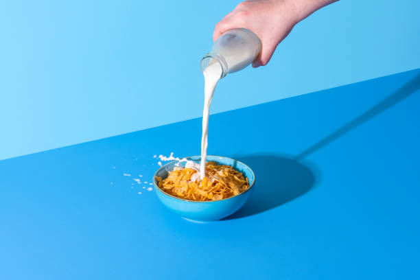 Pouring milk in a cereal bowl on a blue background. Cornflakes and milk. stock photo