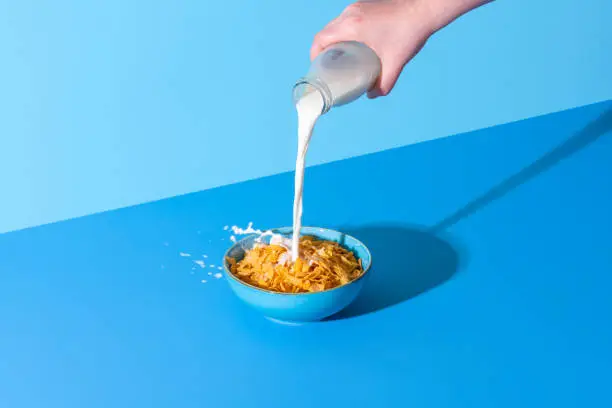 Photo of Pouring milk in a cereal bowl on a blue background. Cornflakes and milk.