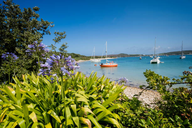 Green Bay Landscape Byher Bryher on the Isles of Scilly isles of scilly stock pictures, royalty-free photos & images