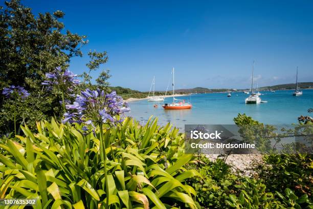 Green Bay Landscape Byher Stock Photo - Download Image Now - Isles of Scilly, UK, Cornwall - England