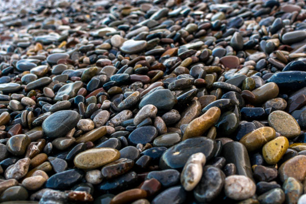 istock Beautiful sea coast 1307636246