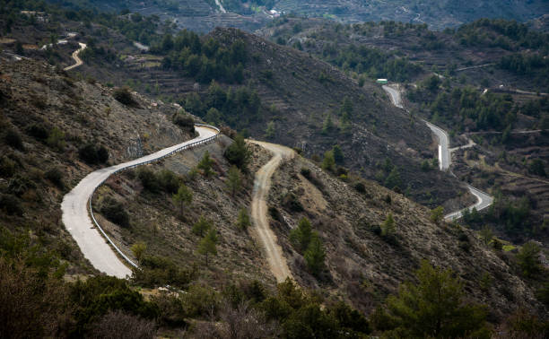 istock Curved mountain empty road. Forest dangerous asphalt rural road 1307637618