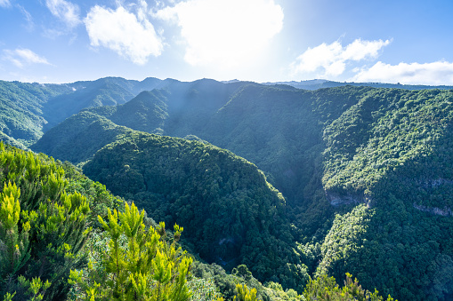 Panoramic view of the Cubo de la Galga natural park on the northeast coast on the island of La Palma, Canary Islands. Spain
