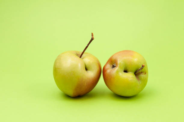 Two ugly apples with flaws on light green background. Selective focus, copy space. Concept - Food waste reduction. Using in cooking imperfect products.