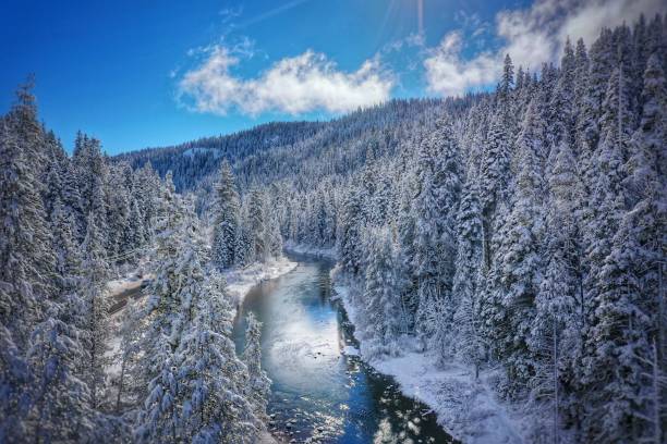 The Truckee River Truckee River near Tahoe City after a big snow storm truckee river photos stock pictures, royalty-free photos & images