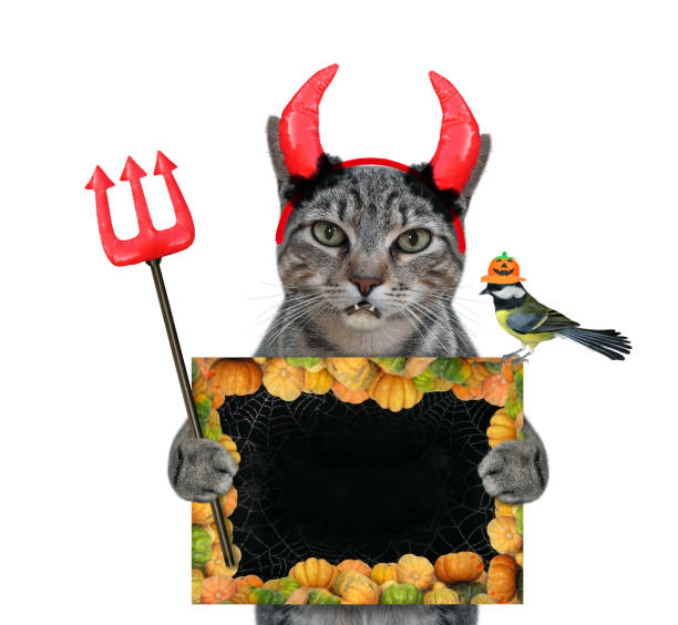 istock Cat gray in red horns holds blank poster 1307641572