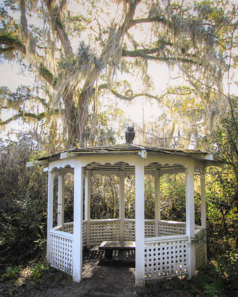 istock Spanish Moss And Large Live Oak Tree With Gazebo 1307642257